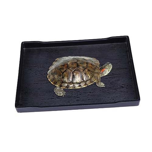 DINHEAROM Reptile Futternapf und Wasserschale für Schildkröten Große Schwarze Schüssel mit Natürlicher Holzmaserung Rutschfestem Design zu Reinigen für Futter und Wasser DINHEAROM Reptile Futternapf und Wasserschale für Schildkröten Große Schwarze Schüssel mit Natürlicher Holzmaserung Rutschfestem Design zu Reinigen für Futter und Wasser von DINHEAROM