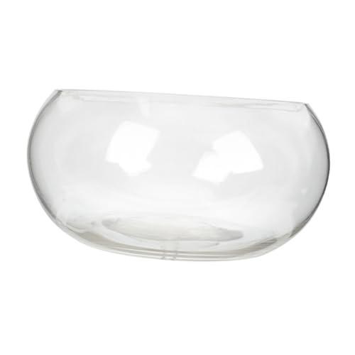 DINHEAROM Transparente Fischschale für Pflanzen und Tiere Hydroponischer Pflanzenbehälter für Goldfische Garnelen Schildkröten Tischdekoration im Büro oder Zuhause DINHEAROM Transparente Fischschale für Pflanzen und Tiere Hydroponischer Pflanzenbehälter für Goldfische Garnelen Schildkröten Tischdekoration im Büro oder Zuhause von DINHEAROM