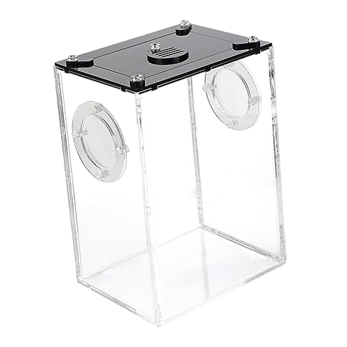 DINHEAROM Transparente Reptilienbox Für Spinnen Eidechsen Kleine Tiere Tragbare Terrarienbox Mit Atmungsaktiven Löchern Für Schildkröten Und Frösche Perfektes Zucht Und Wohnumfeld DINHEAROM Transparente Reptilienbox Für Spinnen Eidechsen Kleine Tiere Tragbare Terrarienbox Mit Atmungsaktiven Löchern Für Schildkröten Und Frösche Perfektes Zucht Und Wohnumfeld von DINHEAROM