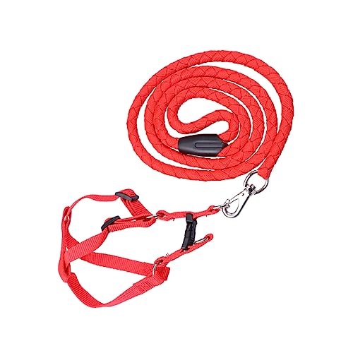 DINHEAROM Welpengeschirr Haustier für Hunde Hundezubehör für große Hunde Hundeträger hundesicherheitsgeschirre hundesicherheitsgurt Dog Accessories hundetraining Hundegeschirr im Freien rot von DINHEAROM