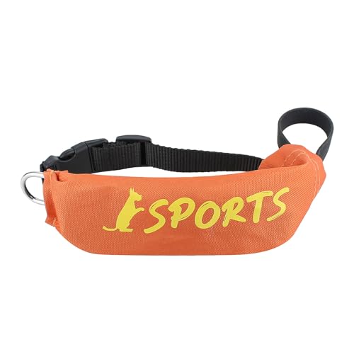 DINSOAVR Hundeleine Rutschfestes Geschirr Halsband Mit Einziehbarem Halsband Seil 91 cm Lang Für Starkes Training Wandern Schwimmen Wandern DINSOAVR Hundeleine Rutschfestes Geschirr Halsband Mit Einziehbarem Halsband Seil 91 cm Lang Für Starkes Training Wandern Schwimmen Wandern von DINSOAVR