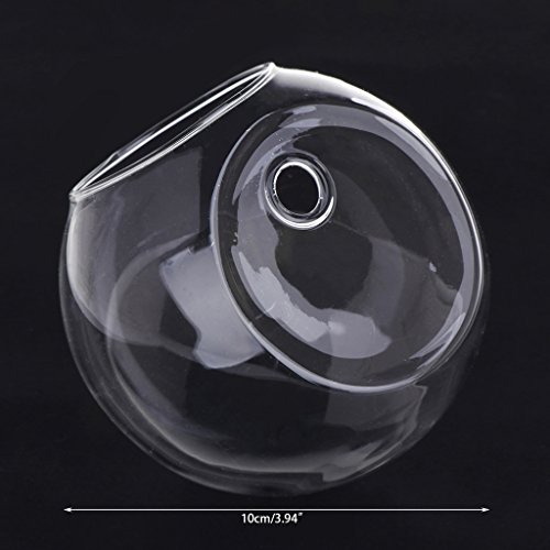 Wand Hangglas Pflanzer Vase Terrarium Container Hausgarten von DINSOAVR
