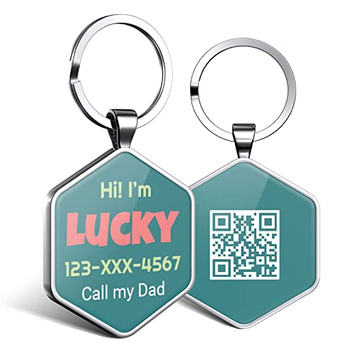 DISONTAG Hundemarke Personalisiert mit QR Code,32 mm 2 Seiten Dog Id Tag mit SchlüSselring für Hundehalsband,Leichter zu Lesen als Gravur– Online|Modifizierbar|Colourful(Hexagon) von DISONTAG
