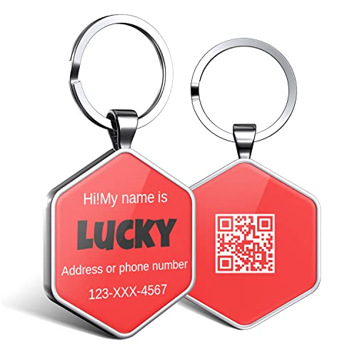 DISONTAG Hundemarke Personalisiert mit QR Code,32 mm 2 Seiten Dog Id Tag mit SchlüSselring für Hundehalsband,Leichter zu Lesen als Gravur– Online|Modifizierbar|Colourful(Hexagon) von DISONTAG