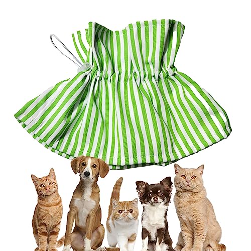 DISPRA Elisabethanisches Halsband für Hunde, Erholungshalsband aus Polyester, Entwurmung, Sterilisationshalsband, Leckhalsband für Hunde und Katzen, Schutzhalsband DISPRA Elisabethanisches Halsband für Hunde, Erholungshalsband aus Polyester, Entwurmung, Sterilisationshalsband, Leckhalsband für Hunde und Katzen, Schutzhalsband von DISPRA