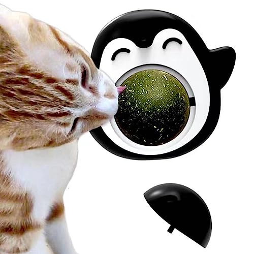 DISPRA Katzenball – Minze um 360 Grad drehbar in niedlicher Pinguin-Form | Kau-Snacks für Kätzchen, Katzenspielzeug zum Beißen für die Reinigung der Zähne, Mundpflege DISPRA Katzenball – Minze um 360 Grad drehbar in niedlicher Pinguin-Form | Kau-Snacks für Kätzchen, Katzenspielzeug zum Beißen für die Reinigung der Zähne, Mundpflege von DISPRA