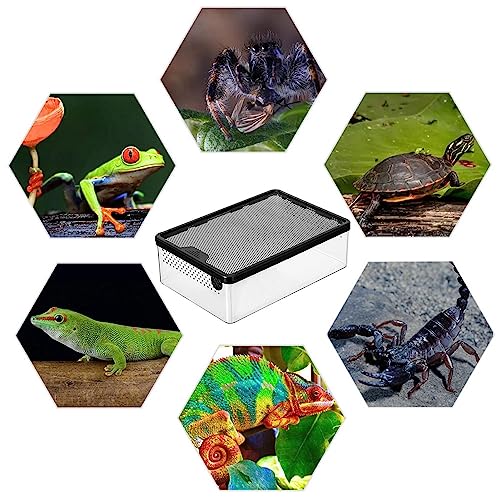 DISPRA Reptilienvivarium, transparenter Reptilienbehälter, Anti-Flucht, atmungsaktiv, für Faunarium, Belüftung, Käfig, Schnecke, Haustierhaus, Terrarium, Glas für Käfer, Eidechsen, Spinnen und DISPRA Reptilienvivarium, transparenter Reptilienbehälter, Anti-Flucht, atmungsaktiv, für Faunarium, Belüftung, Käfig, Schnecke, Haustierhaus, Terrarium, Glas für Käfer, Eidechsen, Spinnen und von DISPRA