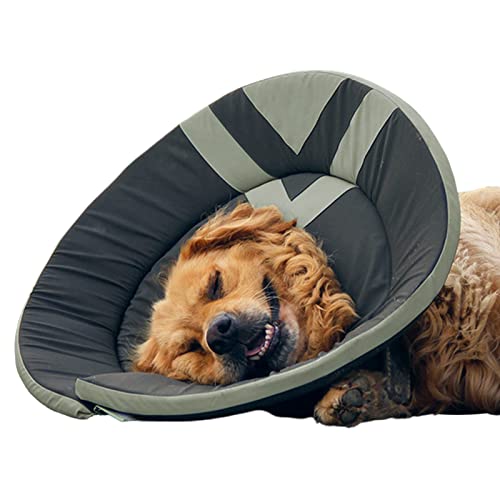 DISPRA Weicher Kegel für Hunde, Donut-Halsband für Hunde mit Haken, Elizabeth Big Dog, Anti-Lecking-Erholungshalsband für Unternehmen, Schild Co DISPRA Weicher Kegel für Hunde, Donut-Halsband für Hunde mit Haken, Elizabeth Big Dog, Anti-Lecking-Erholungshalsband für Unternehmen, Schild Co von DISPRA