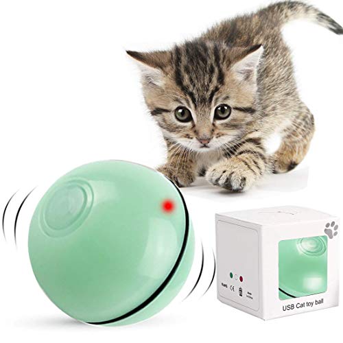 Katzenspielzeug Interaktiv Automatisch Sich Drehender Ball, USB Wiederaufladbares LED Licht Haustier Unterhaltungskugeln für den Innenbereich, Übungsbälle Pet Chaser Spielzeug Kätzchen Welpen (Grün) von DIWUJI