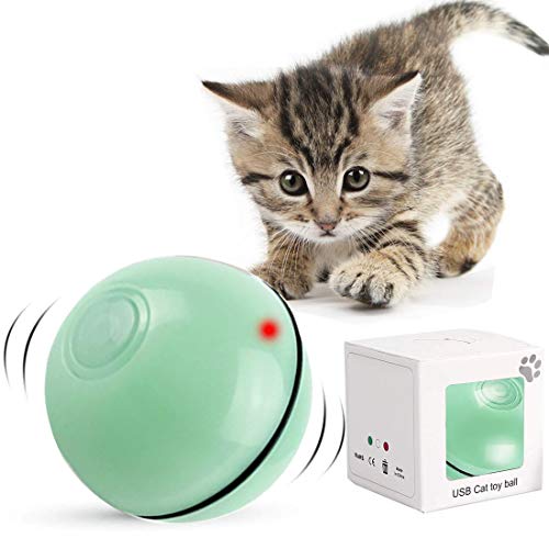 Katzenspielzeug Interaktiv Automatisch Sich Drehender Ball, USB Wiederaufladbares LED Licht Haustier Unterhaltungskugeln für den Innenbereich, Übungsbälle Pet Chaser Spielzeug Kätzchen Welpen (Grün) Katzenspielzeug Interaktiv Automatisch Sich Drehender Ball, USB Wiederaufladbares LED Licht Haustier Unterhaltungskugeln für den Innenbereich, Übungsbälle Pet Chaser Spielzeug Kätzchen Welpen (Grün) von DIWUJI