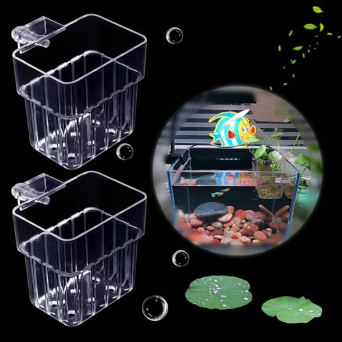 Aquarium-Pflanzenhalter mit 6 Löchern, transparent, Acryl, zum Aufhängen, Wasserpflanzentopf für Aquarium, Dekoration, Pflanzenzucht, Aquarium-Dekorationen, 2 Stück Aquarium-Pflanzenhalter mit 6 Löchern, transparent, Acryl, zum Aufhängen, Wasserpflanzentopf für Aquarium, Dekoration, Pflanzenzucht, Aquarium-Dekorationen, 2 Stück von DIYBravo
