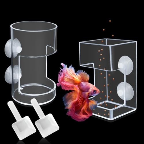 Fisch-Futterspender für Aquarium, Saugnapf, automatischer Futterring aus Acryl mit 2 Löffeln, transparenter Futterspender für Schildkröten, Garnelen, Aquarium (quadratisch + rund) von DIYBravo