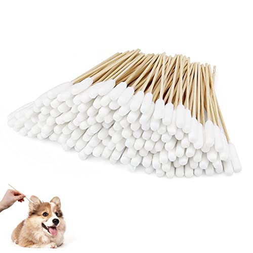 DIYCUT Etwa 150 Stück Hunde Wattestäbchen Ohrreiniger, 150 mm Lang Wattestäbchen für Hunde, Ohrenreinigung Hund Haustieren, zur Reinigung und Hygiene von Haustierohren DIYCUT Etwa 150 Stück Hunde Wattestäbchen Ohrreiniger, 150 mm Lang Wattestäbchen für Hunde, Ohrenreinigung Hund Haustieren, zur Reinigung und Hygiene von Haustierohren von DIYCUT