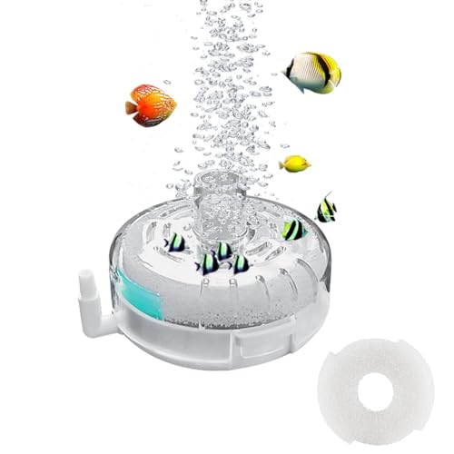 DIYCUT Kunststoff Filterkits für Aquarien, Mini Aquarium Filter, 55 x 83 mm Aquarium Filter Klein, mit Filterpads und Filtersteinen, für Zuhause, Aquarium DIYCUT Kunststoff Filterkits für Aquarien, Mini Aquarium Filter, 55 x 83 mm Aquarium Filter Klein, mit Filterpads und Filtersteinen, für Zuhause, Aquarium von DIYCUT