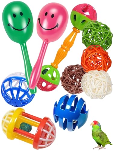 DIYUQISHI Vogelspielzeug, Vogelballspielzeug mit Glocke, hohles Design für Papageien und andere Vögel, fördert Spielen und Bewegung, für alle Rassengrößen DIYUQISHI Vogelspielzeug, Vogelballspielzeug mit Glocke, hohles Design für Papageien und andere Vögel, fördert Spielen und Bewegung, für alle Rassengrößen von DIYUQISHI
