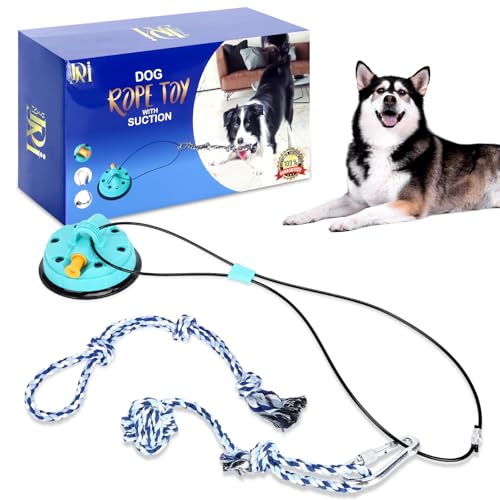 Hundespielzeug mit Saugnapf – Perfektes Hundespielzeug für aggressive Kauer – 2 Seile fast unzerstörbares Hundespielzeug & Saugnapf – stimulierendes Hundespielzeug für große & kleine Hunde – von DJAMII