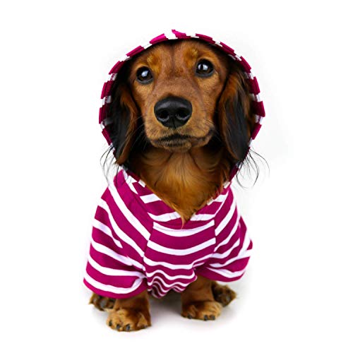 DJANGO Hunde-Kapuzenpullover und superweicher und dehnbarer Pullover mit elastischem Bund und Leinen-Portal (Medium, Boysenberry) von DJANGO