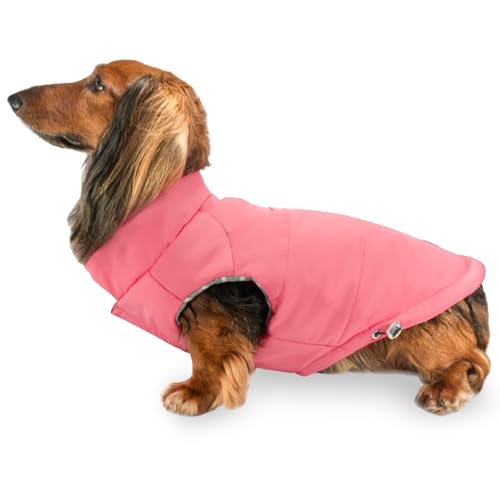 DJANGO Puffer Hundemantel - Warme Winter-Hundejacke & Wasserabweisende, isolierte Pufferweste mit gestreiftem Futter, Geschirrloch, verstellbare Passform für kleine und mittelgroße Hunde, Dackel von DJANGO