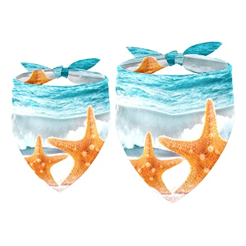 Hundehalstuch, Seestern am Sommer, Strand, Meer, Mädchen, Jungen, Haustier-Lätzchen, Halstuch, waschbar, Zubehör für kleine, mittelgroße und große Hunde, Welpen, Katzen, Haustiere Hundehalstuch, Seestern am Sommer, Strand, Meer, Mädchen, Jungen, Haustier-Lätzchen, Halstuch, waschbar, Zubehör für kleine, mittelgroße und große Hunde, Welpen, Katzen, Haustiere von DJSIMFHDNG