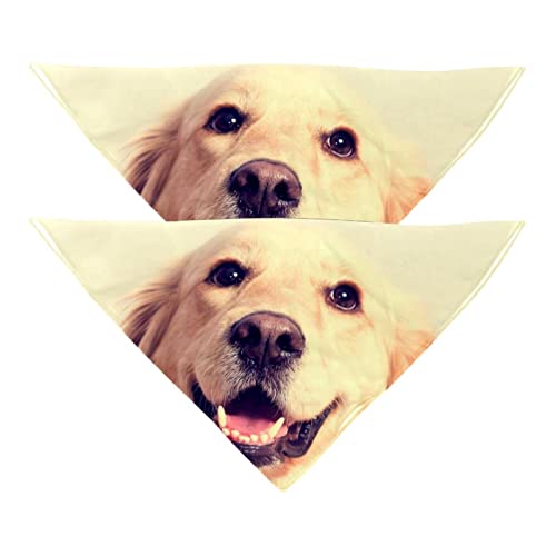 Hundehalstuch für Hunde, Golden Retriever, Mädchen, Jungen, Haustier-Lätzchen, Halstuch, waschbar, Zubehör für kleine, mittelgroße und große Hunde, Welpen, Katzen, Haustier, 2 Stück Hundehalstuch für Hunde, Golden Retriever, Mädchen, Jungen, Haustier-Lätzchen, Halstuch, waschbar, Zubehör für kleine, mittelgroße und große Hunde, Welpen, Katzen, Haustier, 2 Stück von DJSIMFHDNG