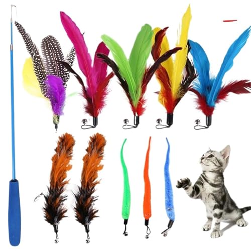 DJSKLDF Katzenangel 11pcs Replacement Cat Feather Toy Set Head Retractable Stick Products von DJSKLDF