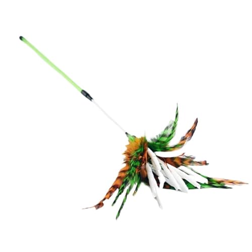DJSKLDF Katzenangel 1Pc，Spiral Cat Colorful Feather Toy, Durable Pet Stick, Funny Kitten Exerciser Wand(Green Rod) von DJSKLDF