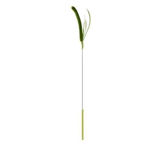 DJSKLDF Katzenangel Cat Teasing Stick Bite Resistant Soothing Tool Dog Sage Feather Tail Grass Toy Pet Supplies(Green) von DJSKLDF