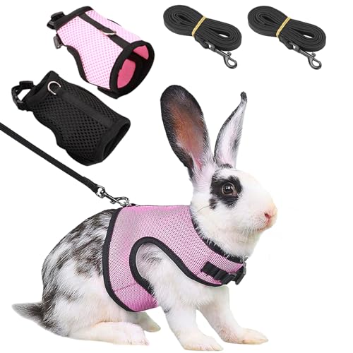 DKDDSSS 2 Stück Kaninchen Leine und Geschirr Set - Verstellbar und Weich für Kleine Häschen und Andere Kleine Haustiere (Schwarz und Rosa) von DKDDSSS