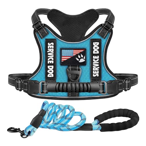 Service Dog Vest Small Dog Training Gear Adjustable Night Time Walking Dog Outfit Soft Dog Harness Service Dog Outfit for Pet Care Comfort and Prevent Pulling Service Dog Vest Small Dog Training Gear Adjustable Night Time Walking Dog Outfit Soft Dog Harness Service Dog Outfit for Pet Care Comfort and Prevent Pulling von DKGEA