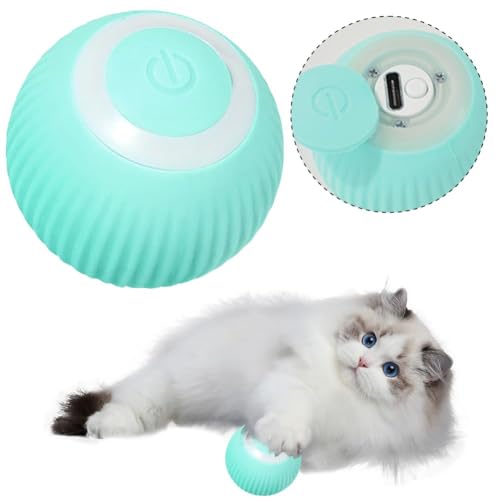 DKIIL NOIYB Interaktives Katzenspielzeug Ball mit USB Wiederaufladbarer, Katzenspielzeug 360° Elektrisch Ball, Rollendes Intelligentes Katzenball mit LED Licht (Blau) von DKIIL NOIYB