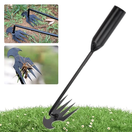 DKIIL NOIYB 4 Zähne Unkrautjäter mit Stiel, Hand Unkrautjätgeräte für Garten, Unkrautstecher zum Entwurzeln Garden Harke, Geschmiedeter Unkrautstecher aus Manganstahl (30 cm) von DKIIL NOIYB