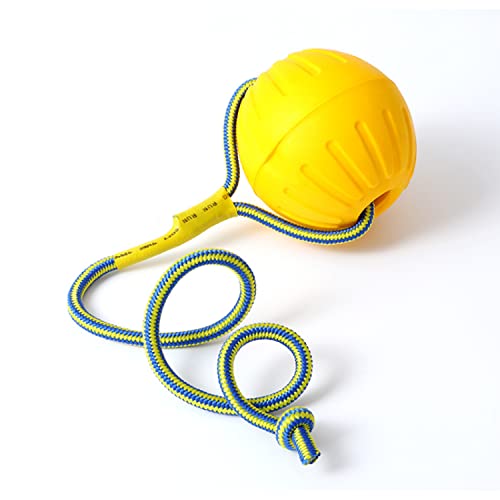 DLDER Hundebälle mit Seil, EVA-Schaumstoffball auf einem Seil, schwimmender Hundespielzeugball, interaktives Tauziehen für kleine, mittelgroße und große Hunde, aggressive Kauer. von DLDER