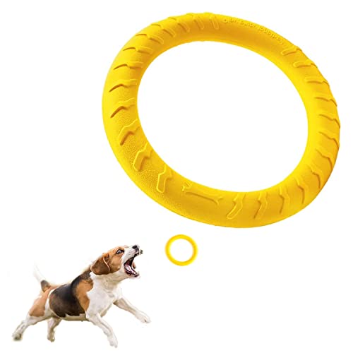 DLDER Schwimmendes Hundespielzeug für Hunde, unzerstörbares Kauspielzeug für kleine Kauer, Hundespielzeug für Pool, schwimmend, langlebig, für drinnen und draußen, zum Werfen, Fangen, Schwimmen, DLDER Schwimmendes Hundespielzeug für Hunde, unzerstörbares Kauspielzeug für kleine Kauer, Hundespielzeug für Pool, schwimmend, langlebig, für drinnen und draußen, zum Werfen, Fangen, Schwimmen, von DLDER