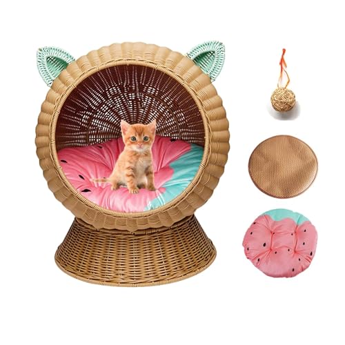DLLDLGG Das raffinierte Katzenbett in Ballform,leicht zu reinigendes erhöhtes Katzenbett, krallenfestes Katzenmöbel aus Kunstrattan, Katzenstuhl aus Rattan DLLDLGG Das raffinierte Katzenbett in Ballform,leicht zu reinigendes erhöhtes Katzenbett, krallenfestes Katzenmöbel aus Kunstrattan, Katzenstuhl aus Rattan von DLLDLGG