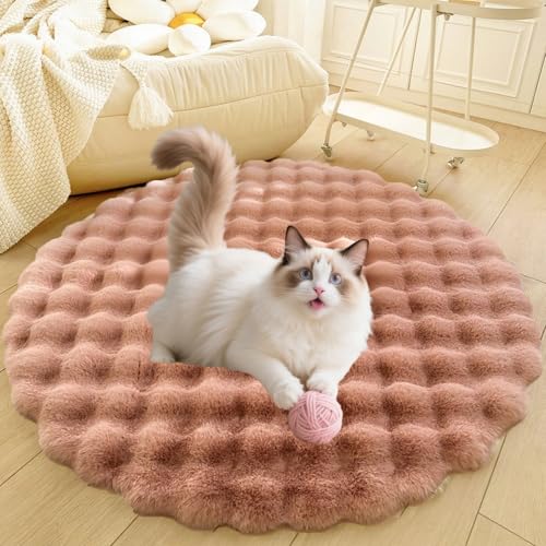 DLLDLGG Teppich für Wohnzimmer, Schlafzimmer, Flauschige Hunde- Und Katzenbettmatte, Weicher Shaggy-Teppich für Den Innenbereich, Luxuriöses, Rutschfestes Plüsch-Schlafkissen für Haustiere, Waschbar DLLDLGG Teppich für Wohnzimmer, Schlafzimmer, Flauschige Hunde- Und Katzenbettmatte, Weicher Shaggy-Teppich für Den Innenbereich, Luxuriöses, Rutschfestes Plüsch-Schlafkissen für Haustiere, Waschbar von DLLDLGG