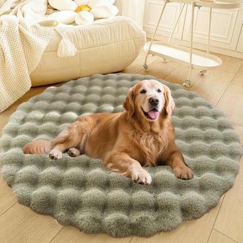 DLLDLGG Waschbares, Rundes Plüsch-Hundebett, Weiches und Flauschiges Kuschelkissen, Rutschfester, Extra Großer Shaggy-Teppich, Moderner Bodenteppich für Wohnzimmer und Schlafzimmer DLLDLGG Waschbares, Rundes Plüsch-Hundebett, Weiches und Flauschiges Kuschelkissen, Rutschfester, Extra Großer Shaggy-Teppich, Moderner Bodenteppich für Wohnzimmer und Schlafzimmer von DLLDLGG