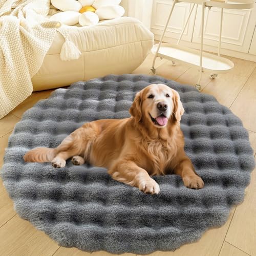 DLLDLGG Waschbares, Rundes Plüsch-Hundebett, Weiches und Flauschiges Kuschelkissen, Rutschfester, Extra Großer Shaggy-Teppich, Moderner Bodenteppich für Wohnzimmer und Schlafzimmer DLLDLGG Waschbares, Rundes Plüsch-Hundebett, Weiches und Flauschiges Kuschelkissen, Rutschfester, Extra Großer Shaggy-Teppich, Moderner Bodenteppich für Wohnzimmer und Schlafzimmer von DLLDLGG