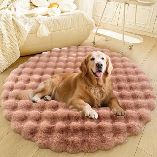 DLLDLGG Welpencouch für Katzen und Hunde mit Rutschfester Unterseite Weiches Flauschiges Großes Haustier-Sofabett, Waschbarer Runder Teppich, Modernes, Zotteliges Bett Als Bodenmatte fürs Wohnzimmer DLLDLGG Welpencouch für Katzen und Hunde mit Rutschfester Unterseite Weiches Flauschiges Großes Haustier-Sofabett, Waschbarer Runder Teppich, Modernes, Zotteliges Bett Als Bodenmatte fürs Wohnzimmer von DLLDLGG