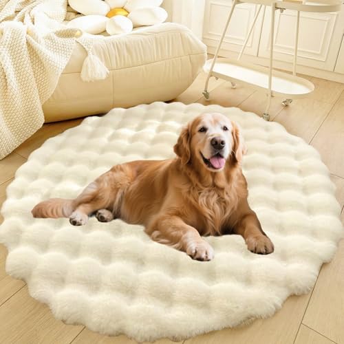 DLLDLGG Welpencouch für Katzen und Hunde mit Rutschfester Unterseite Weiches Flauschiges Großes Haustier-Sofabett, Waschbarer Runder Teppich, Modernes, Zotteliges Bett Als Bodenmatte fürs Wohnzimmer DLLDLGG Welpencouch für Katzen und Hunde mit Rutschfester Unterseite Weiches Flauschiges Großes Haustier-Sofabett, Waschbarer Runder Teppich, Modernes, Zotteliges Bett Als Bodenmatte fürs Wohnzimmer von DLLDLGG
