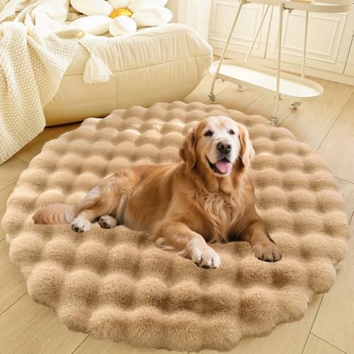 DLLDLGG Welpencouch für Katzen und Hunde mit Rutschfester Unterseite Weiches Flauschiges Großes Haustier-Sofabett, Waschbarer Runder Teppich, Modernes, Zotteliges Bett Als Bodenmatte fürs Wohnzimmer DLLDLGG Welpencouch für Katzen und Hunde mit Rutschfester Unterseite Weiches Flauschiges Großes Haustier-Sofabett, Waschbarer Runder Teppich, Modernes, Zotteliges Bett Als Bodenmatte fürs Wohnzimmer von DLLDLGG