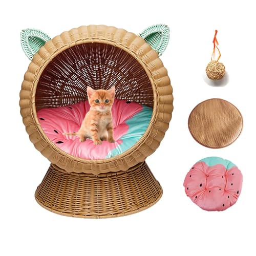 Lit pour Chat Moderne, Lit pour Chat En Rotin Tissé À La Main Avec Coussin Lavable En Machine, Berceau Naturel Fait À La Main pour Animaux De Compagnie, Nid pour Chat, Panier pour Chat, Chaise En Roti Lit pour Chat Moderne, Lit pour Chat En Rotin Tissé À La Main Avec Coussin Lavable En Machine, Berceau Naturel Fait À La Main pour Animaux De Compagnie, Nid pour Chat, Panier pour Chat, Chaise En Roti von DLLDLGG