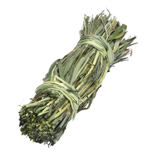 DMAIS Kaninchen-Kaugras, Hamsterbeißgras, Kauspaß Kleintier-Leckerlis, Haustier-Leckerli, Chinchilla-Gras, Mehrzweck-Kaninchengrasball für Kaninchen, Eichhörnchen, Hamster, Chinchilla, Meerschweinchen DMAIS Kaninchen-Kaugras, Hamsterbeißgras, Kauspaß Kleintier-Leckerlis, Haustier-Leckerli, Chinchilla-Gras, Mehrzweck-Kaninchengrasball für Kaninchen, Eichhörnchen, Hamster, Chinchilla, Meerschweinchen von DMAIS