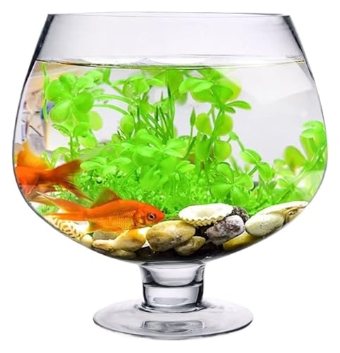 DMBBSAPBSH Goldfischglas, Fischschale, Fisch Schüssel Verdickt Transparent Glas Aquarium Wohnzimmer Desktop Schildkröte Tank(17cmx12cm) von DMBBSAPBSH