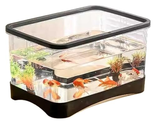 DMBBSAPBSH Goldfischglas, Fischschale, Fisch Schüssel Wohnzimmer Haushalt Desktop Kleine Transparent Acryl Schildkröte Tank(Black,31.5cm*21cm*16.5cm) von DMBBSAPBSH