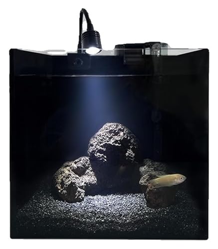DMBBSAPBSH Goldfischglas, Fischschale, Fischglas, quadratisch, Glasaquarium mit Zubehör von DMBBSAPBSH
