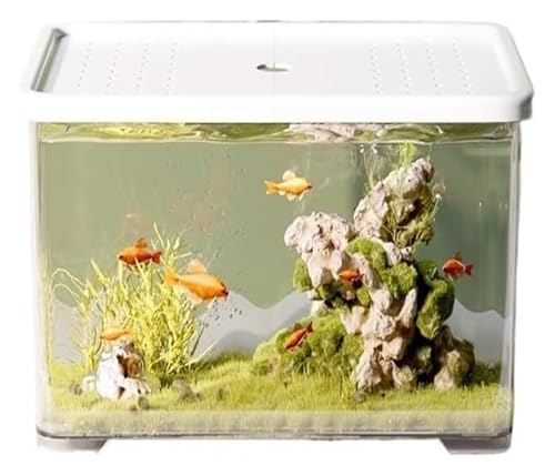 DMBBSAPBSH Goldfischglas, Fischschale, Fischschale, kleines Wohnzimmer, Desktop-Fischbecken mit Deckel von DMBBSAPBSH