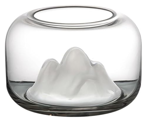 DMBBSAPBSH Goldfischglas, Fischschale, Fischschale, verdicktes transparentes Glas, rund, kleines Aquarium, Wohnzimmer, Schreibtisch-Ornamente von DMBBSAPBSH