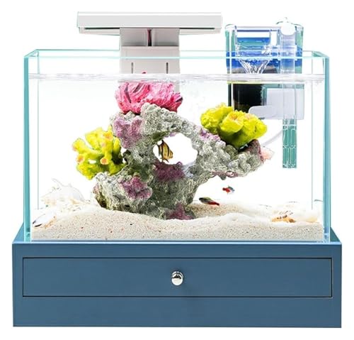 DMBBSAPBSH Goldfischglas, Fischschale, Fischschale Aquarium Desktop Kleines Aquarium mit Sockel DMBBSAPBSH Goldfischglas, Fischschale, Fischschale Aquarium Desktop Kleines Aquarium mit Sockel von DMBBSAPBSH