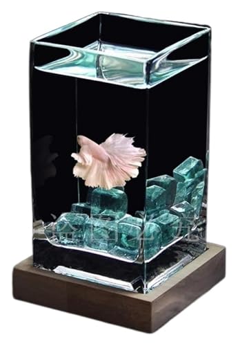 DMBBSAPBSH Goldfischglas, Fischschale, Kleine Fischschale aus verdicktem Glas for den Schreibtisch mit Holzsockel(Blue) von DMBBSAPBSH