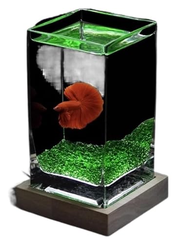 DMBBSAPBSH Goldfischglas, Fischschale, Kleine Fischschale aus verdicktem Glas for den Schreibtisch mit Holzsockel(Green) von DMBBSAPBSH